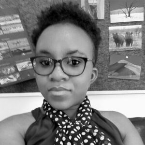 ndeshi fikameni version 3